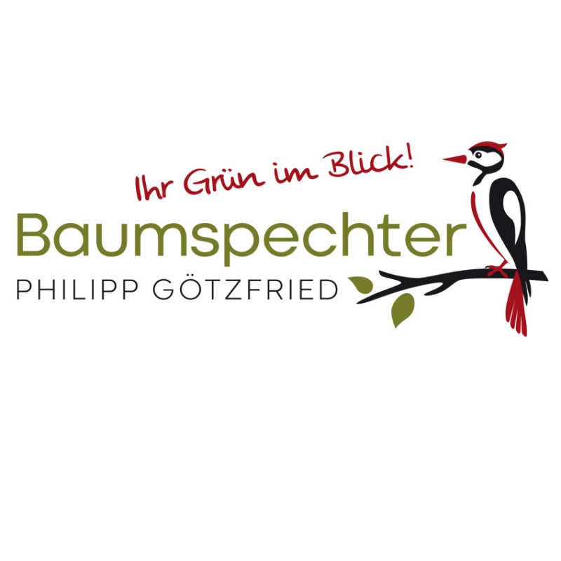 Baumspechter Logodesign